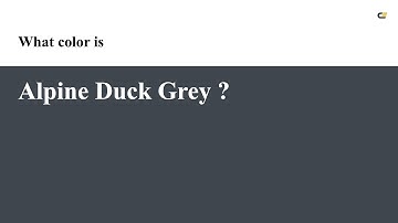 Alpine Duck Grey color #40464d hex color - Grey color - Warm color 40464d