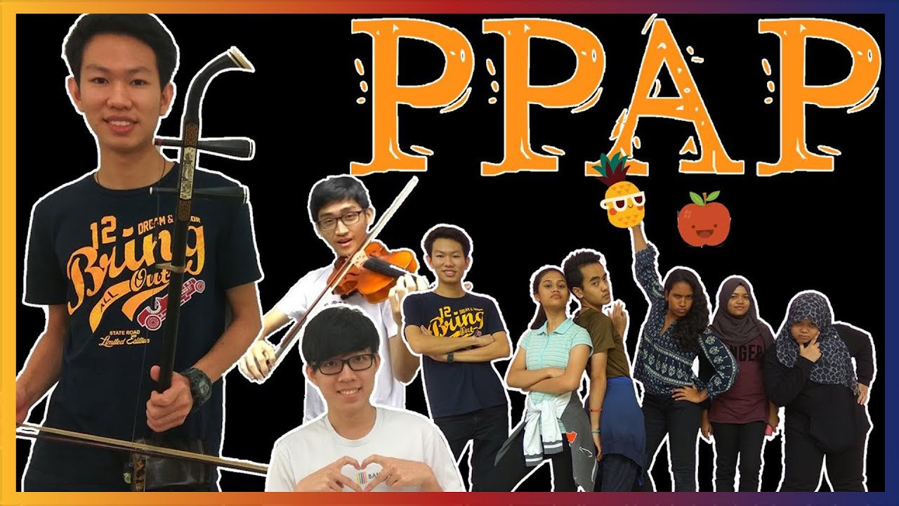 PPAP Pen Pineapple Apple Pen Remix Instrumental Cover Erhu YouTube