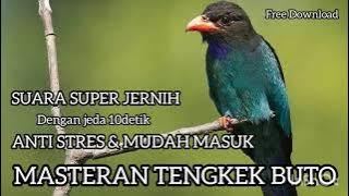 Masteran Tengkek Buto - Dengan jeda - ANTI STRES - SUARA JERNIH
