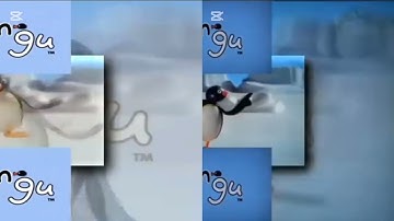 86 shuric Scan with are slide