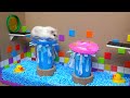 The Awesome Hamster Ball Pool Maze 🐹 Homura Ham Pets Mp3 Song