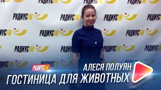 Гостиница для животных Гостиница для животных