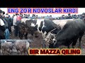 29 Dekabr #Andijon #Shaxrixon mol bozori katta #BUQALAR narxlari bilan tanishing