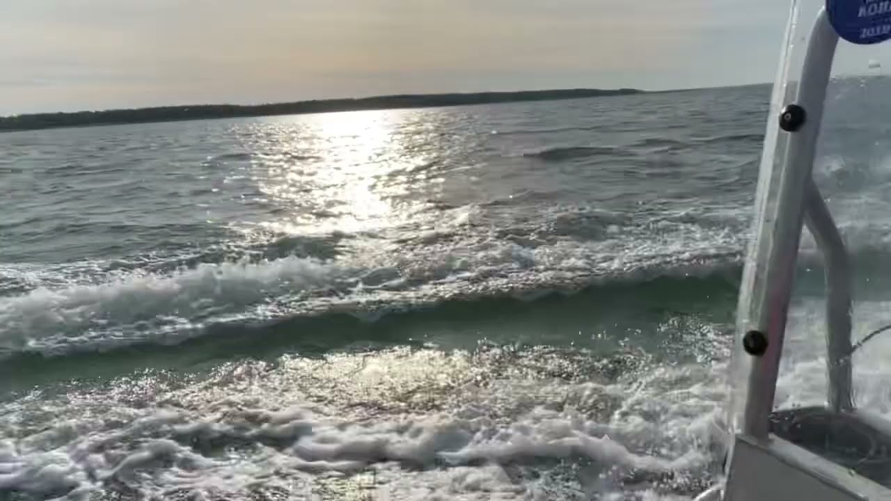 Buster m +mariner 40 hp