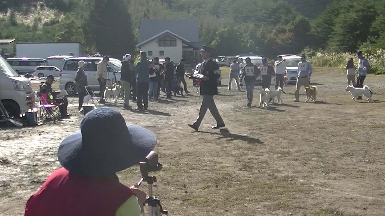 北海道犬協会 岩手本部展覧会 Youtube