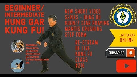 Short Video Series - Bung Bu Kuen - 7 star praying mantis style  - Crushing Step form class!