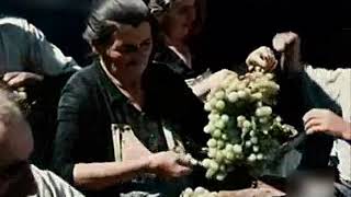 AGRICULTURA DE MALAGA AÑOS 70