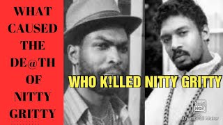 Celebrity WHAT CAUSED SUPERCAT SHOOT NITTY GRITTY? Net Worth