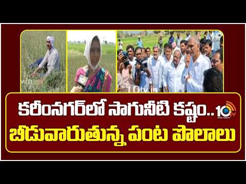 Karimnagar Water Crisis | Crops Drying | కరీంనగర్‎లో సాగునీటి కష్టం.. బీడువారుతున్న పంట పొలాలు |10TV - 10TVNEWSTELUGU