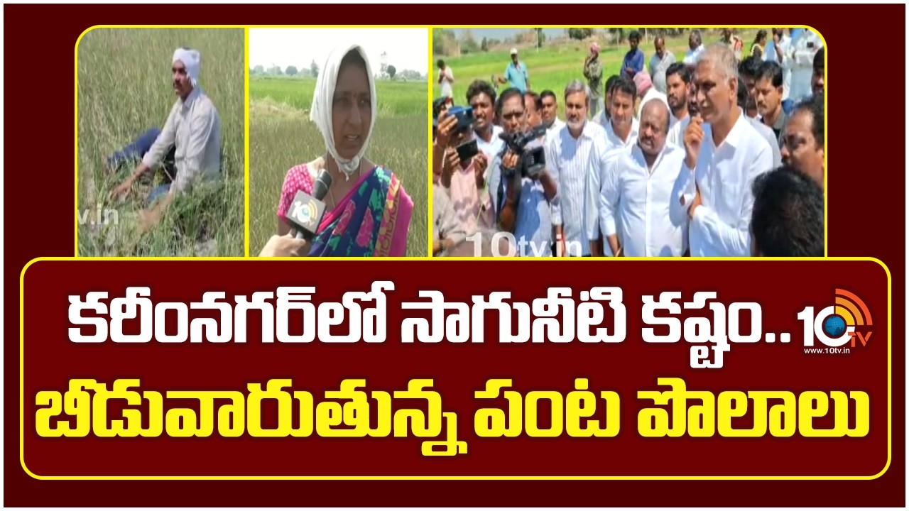 Karimnagar Water Crisis | Crops Drying | కరీంనగర్‎లో సాగునీటి కష్టం.. బీడువారుతున్న పంట పొలాలు |10TV