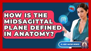 How Is The Midsagittal Plane Defined In Anatomy? - All About Anatomy Answers