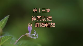 20201219 《大悲心陀羅尼經》 第13集 字幕版