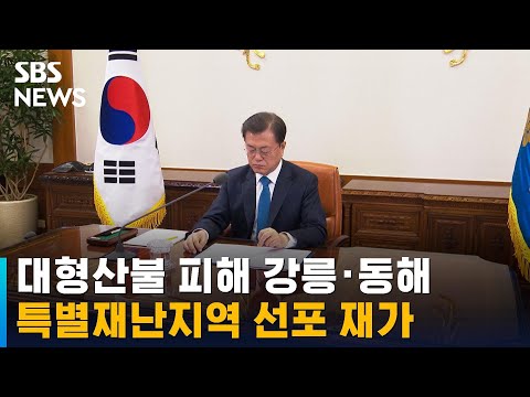 문 대통령, 강릉 · 동해 <strong>특별재난지역</strong> 선포 재가 / SBS