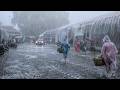 CAN YOU HANDLE THIS? 🌧️Intense Rainstorm & Strong Winds in Rural Indonesia | Best Rain for Sleeping