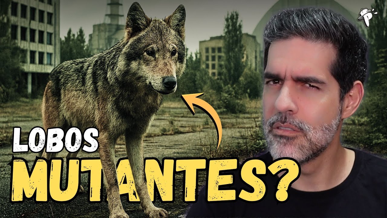 Os Lobos Mutantes de Chernobyl: A Verdade NUNCA Contada