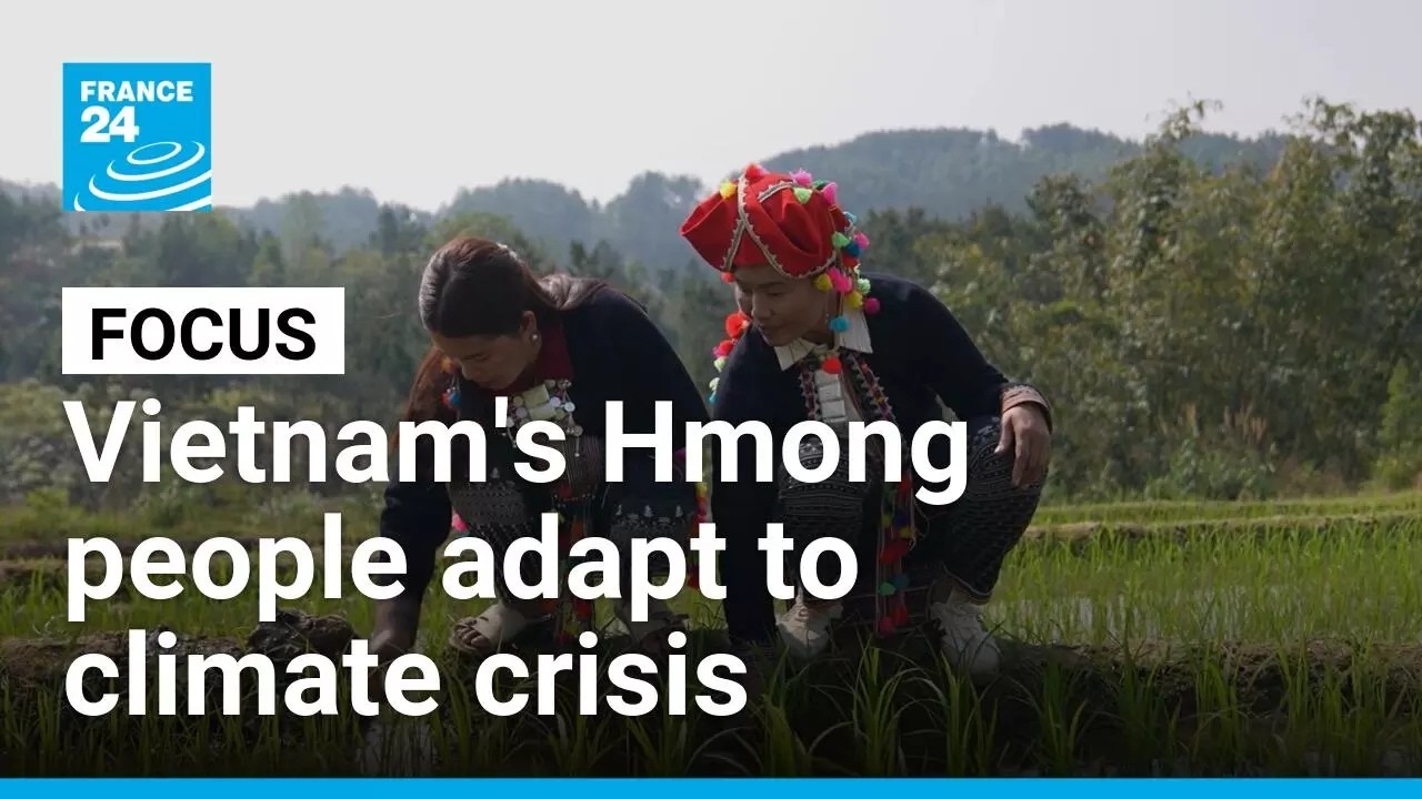 Vietnam's indigenous Hmong people forced to adapt to climate crisis • FRANCE 24 English