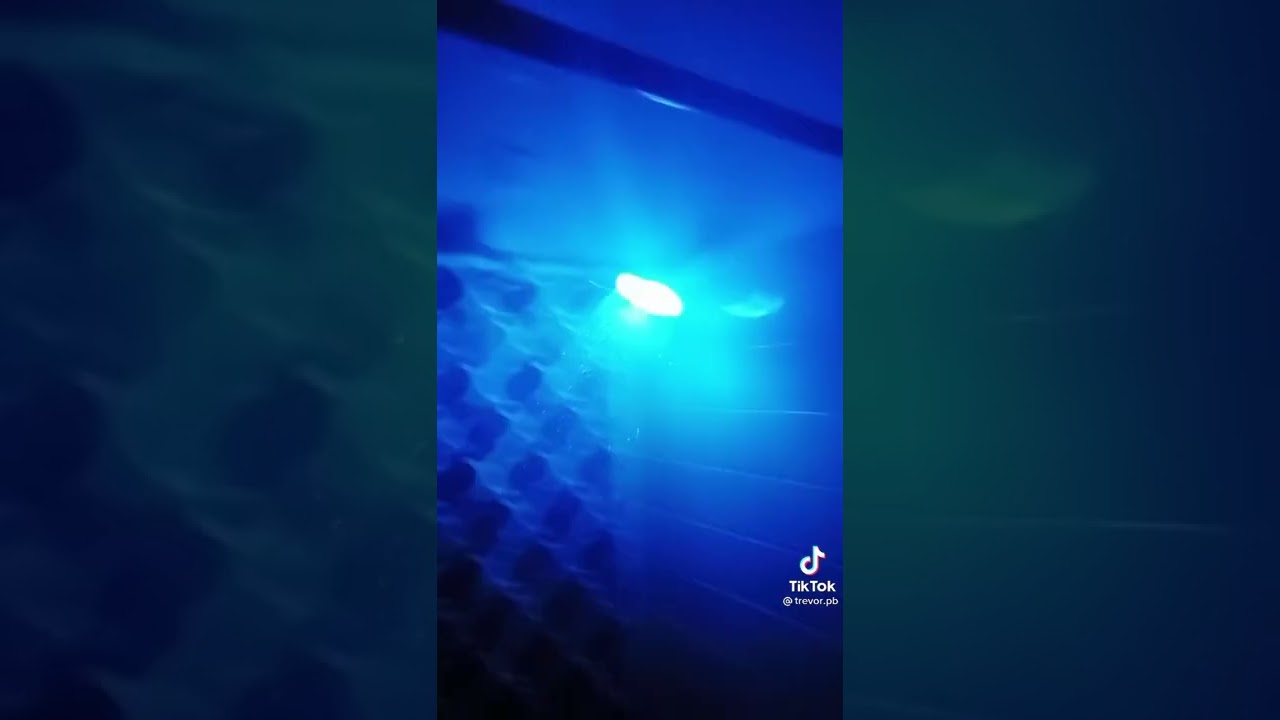 color changing shower head: is it bussin?
