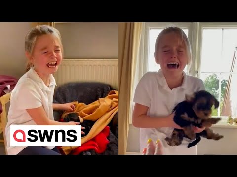 9-year-old bursts into tears of joy after her mum surprises her with puppy | SWNS