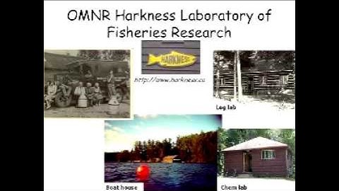 EEB Field Course Info Session - EEB410