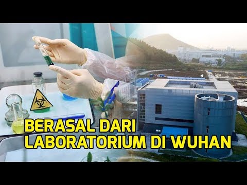 Video: Bagaimana Virus Baru Dijumpai