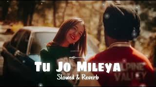 Juss - Tu Jo Mileya(Slowed & Reverb) MixSingh | Shruti Bakshi | New Punjabi Romantic Song 2024