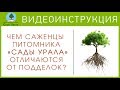 Чем саженцы питомника «Сады Урала» отличаются от подделок? Видеоинструкция