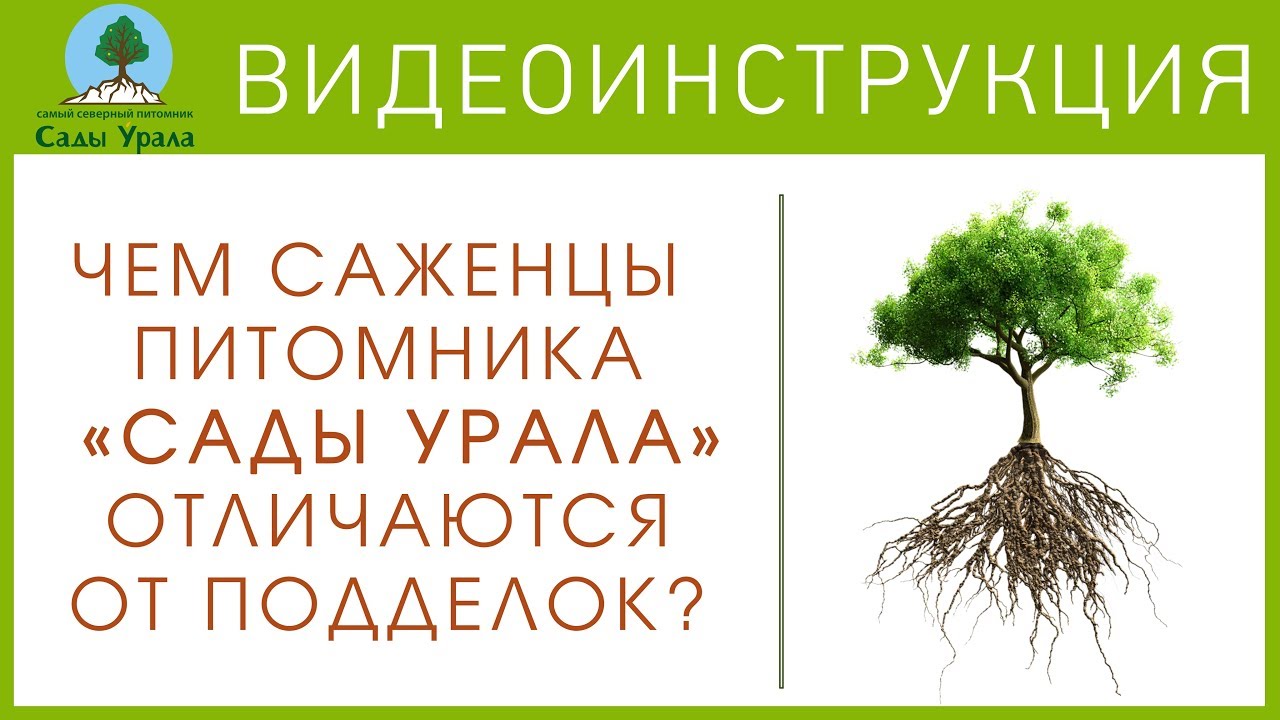 Сады Урала Интернет Магазин Каталог 2022