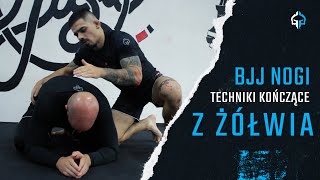 #1 Techniki kończące z pozycji żółwia - BJJ NO GI - Robert Delić - Honza Stach