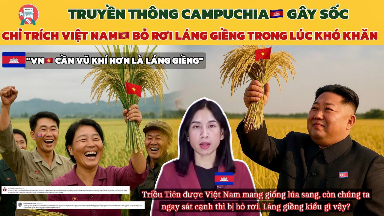 🔥Dân Mạng Campuchia Cay Cú Nói Điều Này Khi Thấy Khi Lúa Việt Nam Bội Thu Trên Đất Triều Tiên