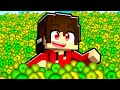 GIOCARE a MINECRAFT con 5,918,381 di ESPERIENZA!