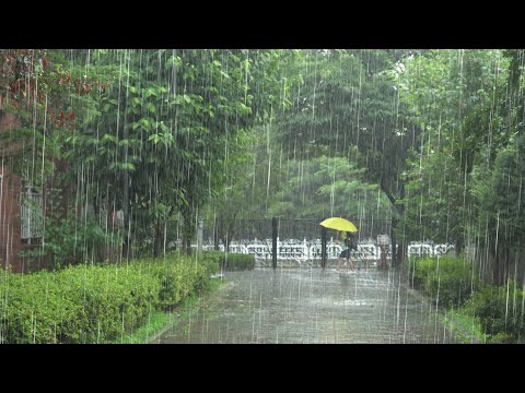 <strong>잠잘오는</strong> 소리 폭우 빗소리 10시간 asmr | 수면유도에 최고 | 불면증 이명 숙면 휴식을 위한 백색소음