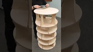 Easy DIY Shoe Cabinet! Net Worth