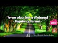 Nu mai vreau să privesc în lume Negativ cu versuri