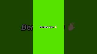 Bi Tek Ben Anlarım-Yeşil Ekran Lyrics