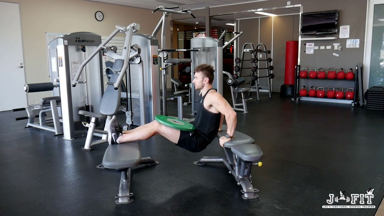 Advanced Weighted Bench Dips
