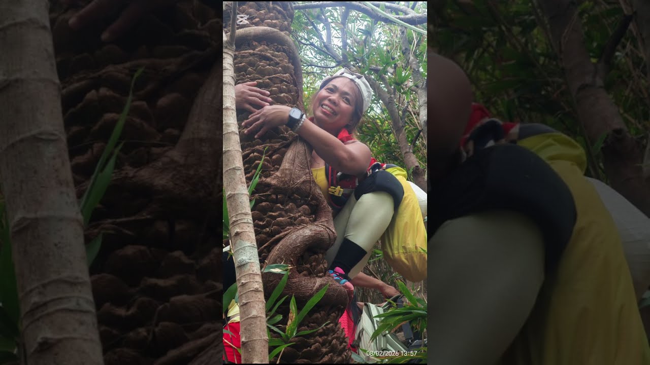 devils peak cliff & high junk cliff adventures