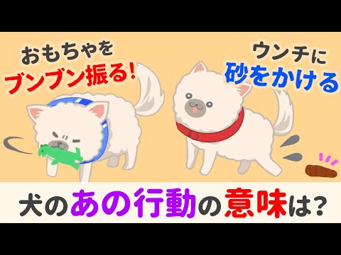 犬の謎行動！愛犬のしぐさの本当の意味は？