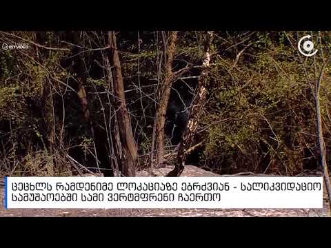 ხანძარი კახეთში - კოხტას მთასა და შილდაში ცეცხლს 3 ვერტმფრენი აქრობს