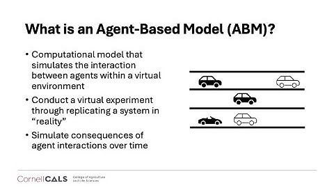 Advanced Modeling Principles: Agent Based Modeling
