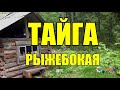 РЫЖЕБОКАЯ ТАЙГА