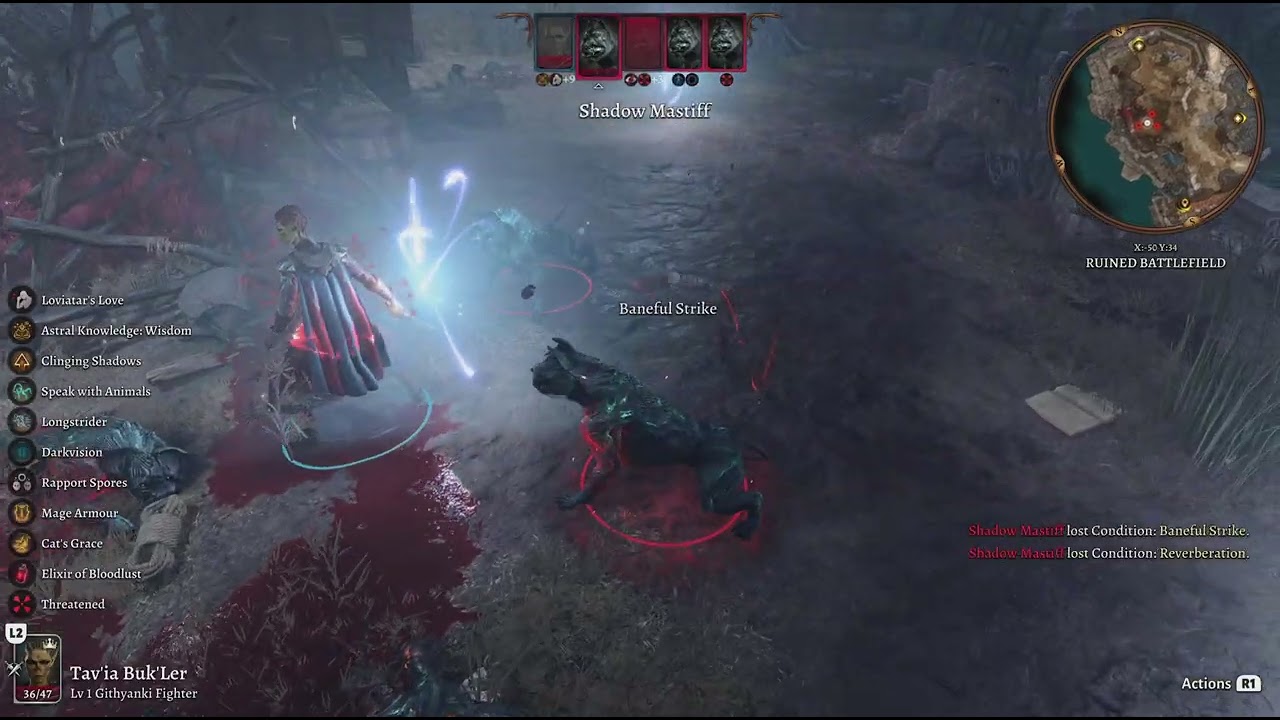 Baldur's Gate 3 - Solo Swashbuckler (level 6*) versus Shadow Mastiffs