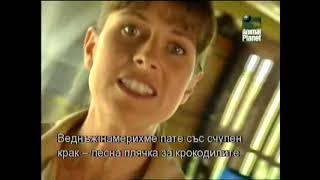 Croc Files 1999(1)