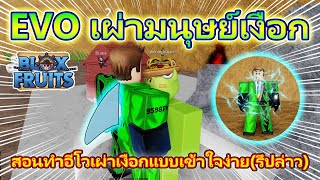 Blox Fruits Ep.142 สอนทำอีโวเผ่ามนุษย์เงือกแบบละเอียด(มั้ง)