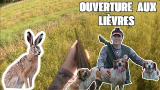 Ouverture de Chasse aux Lièvres 2023-2024!