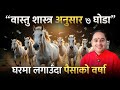 Vastu tips for home Office 7 Horse, वास्तु शास्त्र अनुसार ७ वटा घोडाको फोटो लगाउँदा, पैसाको वर्षा,