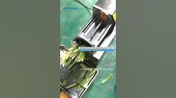 Fruits Chips Cutting Machine carrot radish potato eggplant Shredder Machine