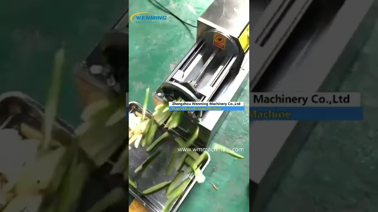 Electric Daikon Shredder Vegetable Strip Cutting Machine – WM machinery