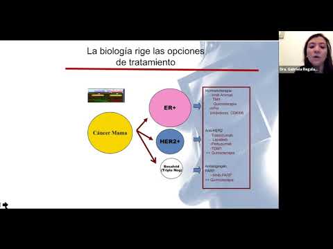 Vídeo: Utilización De Una Herramienta De Evaluación Del Riesgo De Cáncer De Seno Por Parte De Los Residentes De Medicina Interna En Una Clínica De Atención Primaria: Impacto De Un Program