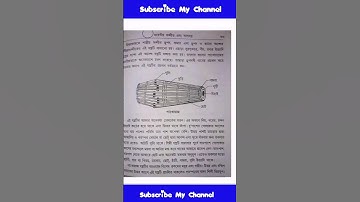 B.ED 2nd sem EPC2 Practicum | Drama and Arts in Education Practicum in Bengali #bed #bedpracticum