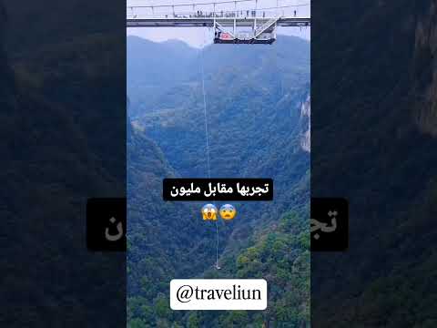 عندك الجرأة